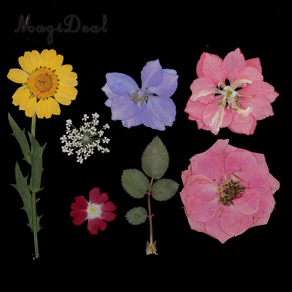 Multiple Real Pressed Leaves Natural Dried Flowers for Arts Crafts Scrapbooking Card Making Resin Jewelry Making Mold Filler