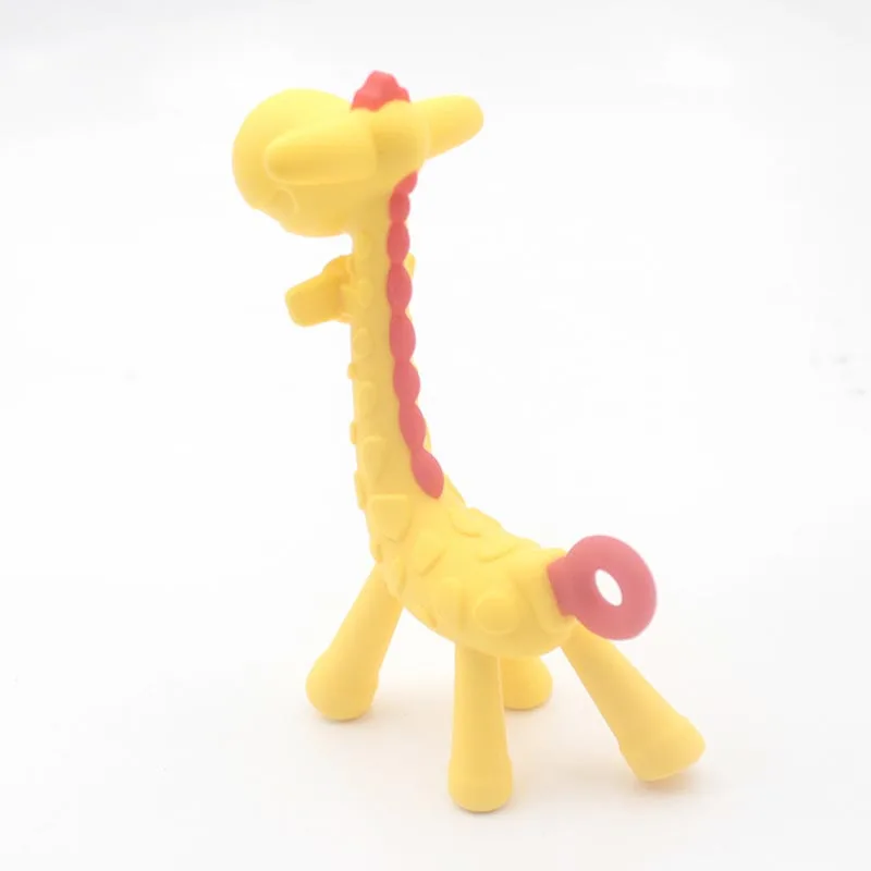 10215877480_1901048285