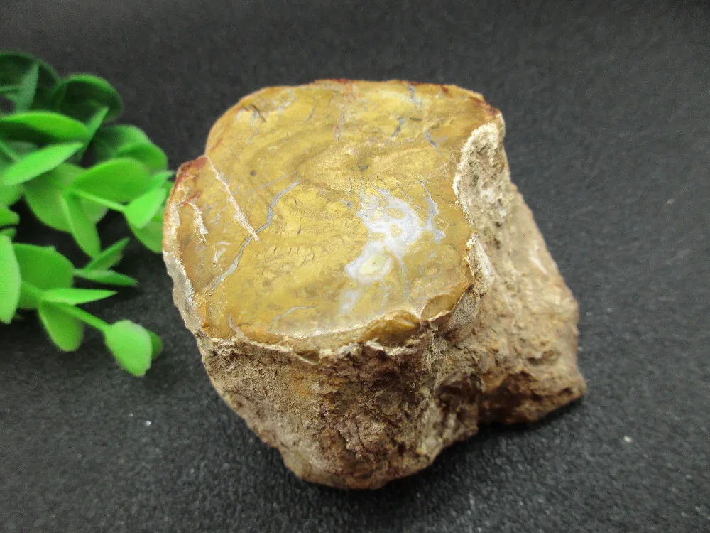 aaa natural wood root