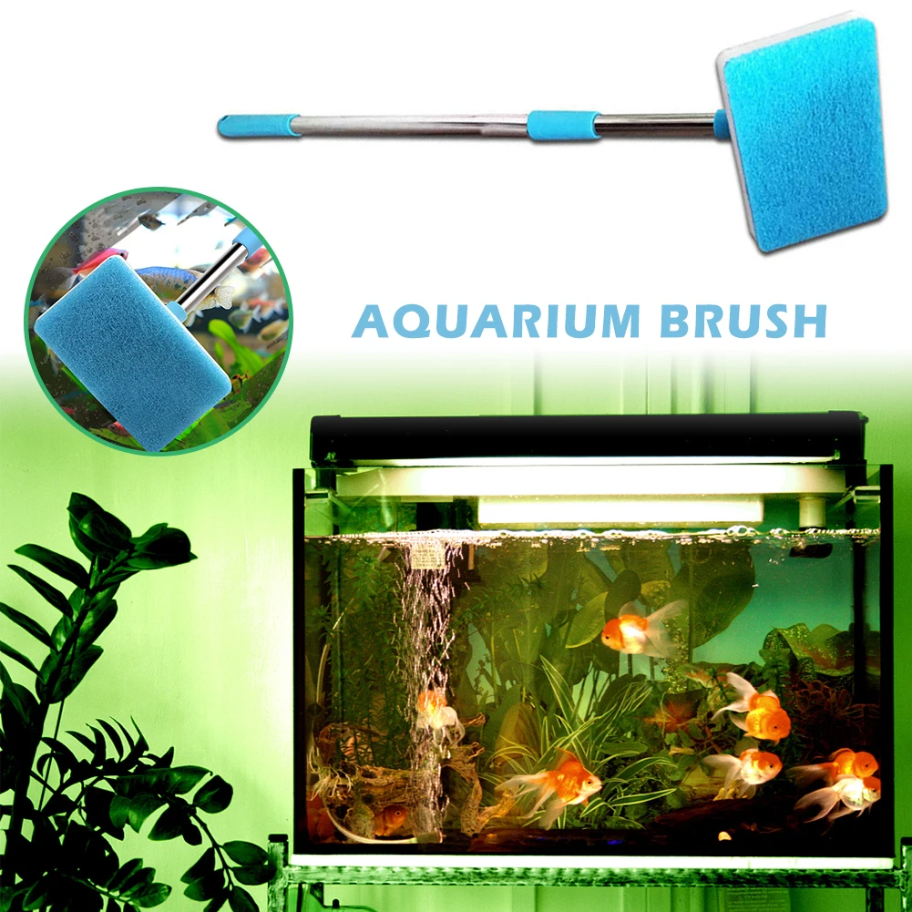 Makkelijk te begrijpen roestvrij doden Aquarium Spons Borstel Intrekbare Aquarium Schoonmaken Tool Vierkante  Borstel Met Lange Steel Flexibele Voor Reiniging Glas - AliExpress Huis &  Tuin