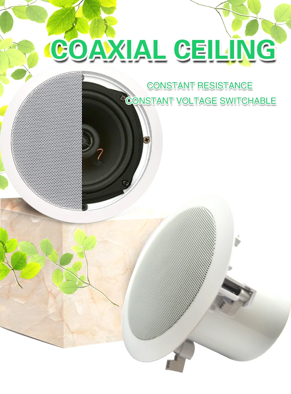 ceiling speaker (1)
