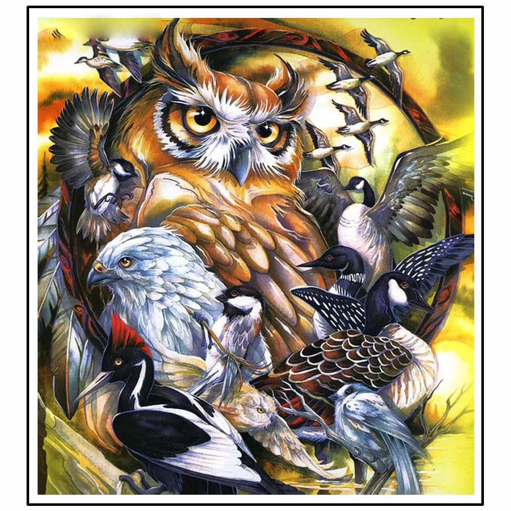 3d Diy Diamond Painting Birds And Owls 5d Full Diamond Painting