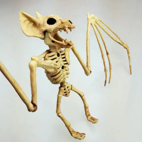 

2018 Halloween Creepy Skeleton Bat Horror Bonez Halloween Scene Party Scary Decor Props