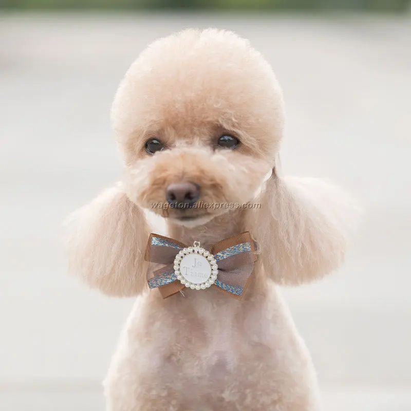 9 puppy collar 