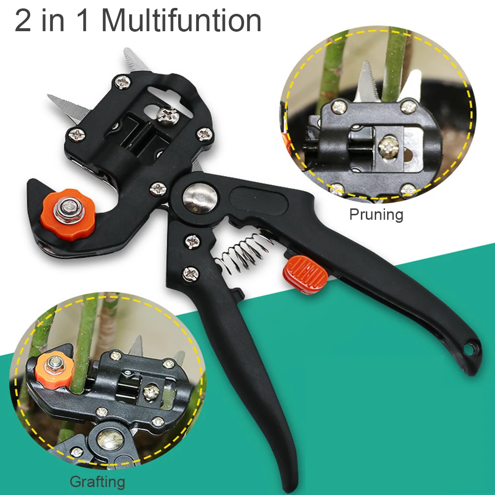 HTB1lpJNaynrK1RjSsziq6xptpXal