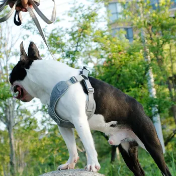 

Dogs Chest Strap Reflectors Chains Strings Dog Collars Dog-friendly Vests Traction Rope Pets XH8Z