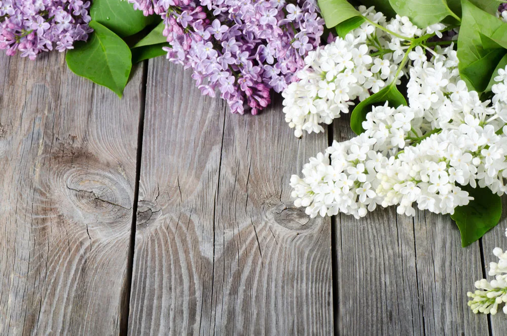 

SHANNY Vinyl Custom Digital Printed Photography Backdrops Wood planks theme Prop Photo Studio Background JUT-1594