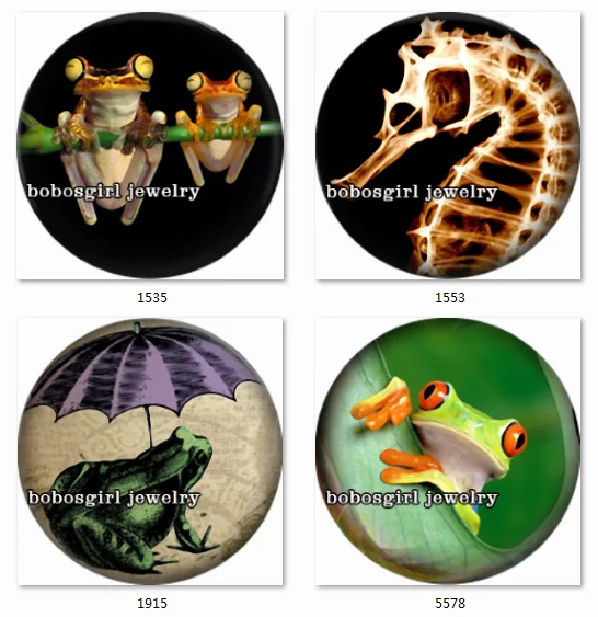 

SN1360 Animal frog snap button Jewelry Charm photo glass cabochon