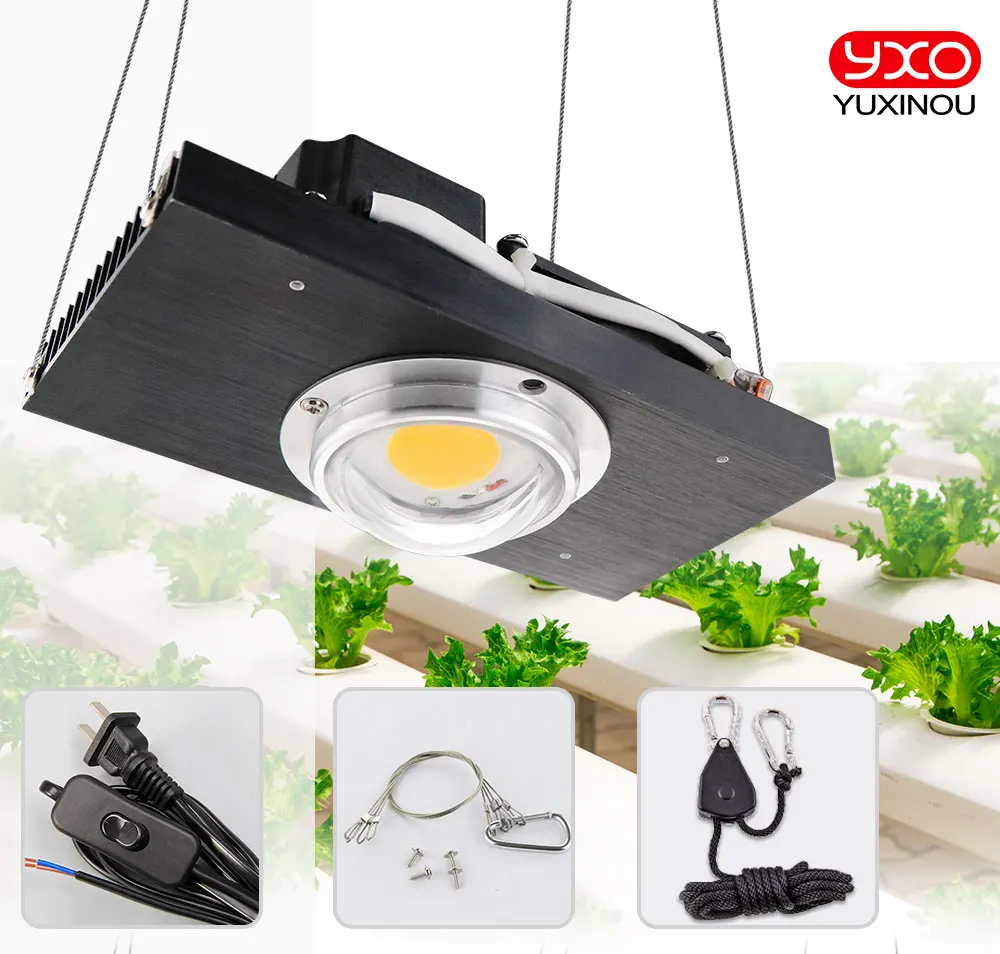 CXB3590 COB LED Grow Light Full Spectrum 100W 200W Citizen LED Plant Grow Lamp for Indoor Tent Greenhouses Hydroponic Plant 1