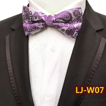 

Classic Men Woven Paisley Bowties Wholesale LJ-W07