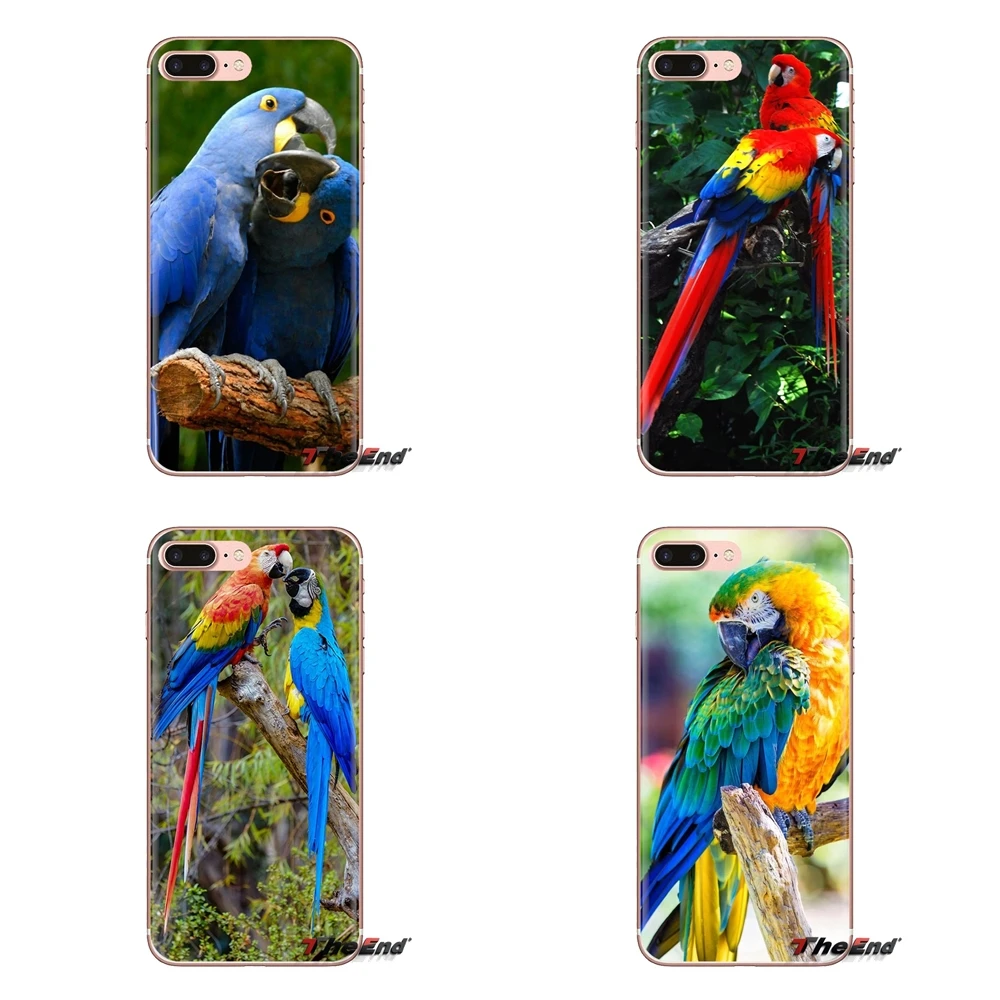 Прозрачный чехол из ТПУ для Samsung Galaxy J1 J2 J3 J4 J5 J6 J7 J8 Plus 2018 Prime 2015 2016 2017 Sweet Scarlet Macaw