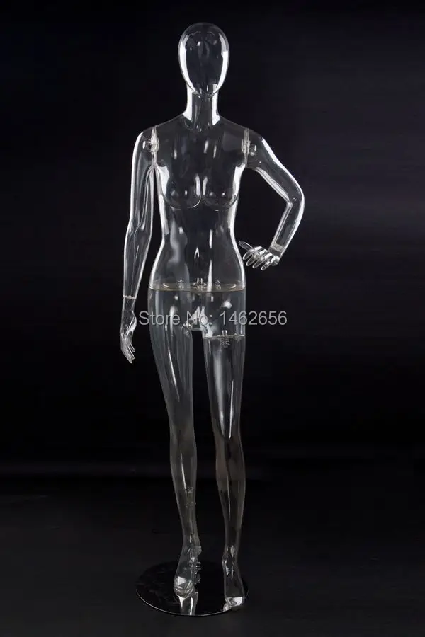 Newly High Quality Clear/Transparent PC Mannequin Female Full Body For