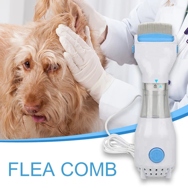 safe flea treatment for puppies safe flea treatment for puppies
