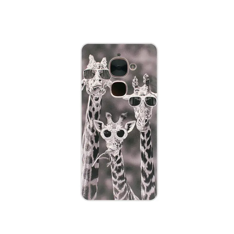 3823616359_201906166