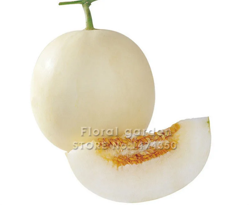

Fruit and vegetable Bonsai muskmelon, 20PCS Sweet Melon Cucumis melo Bonsai
