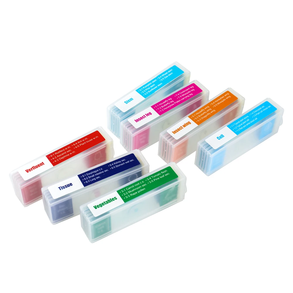 35 Pcs glass slide Microscope Specimens Colorful Biological Specimen
