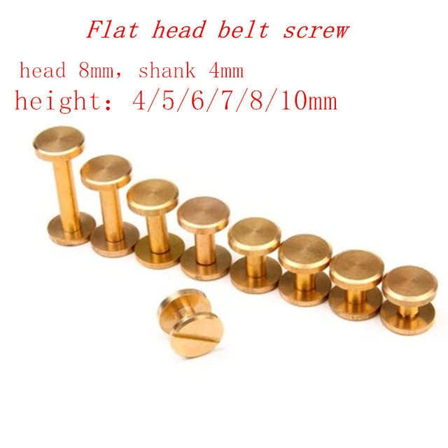 10sets Head 10mm Flat Cap Solid Brass Binding Chicago Screws