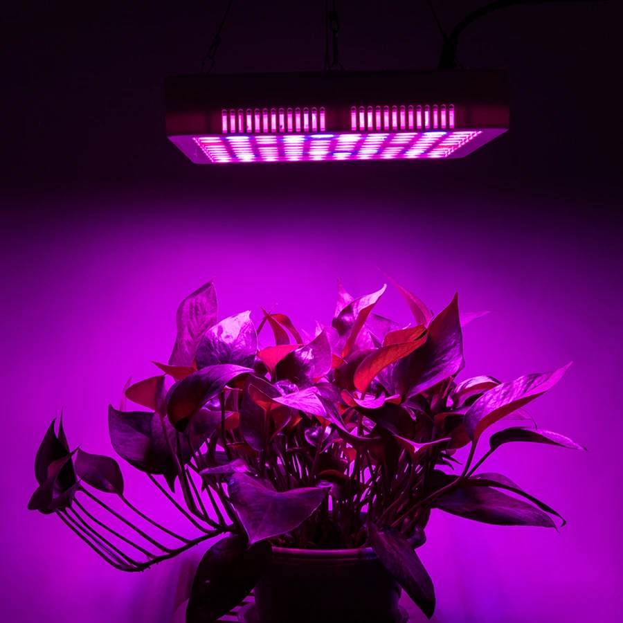 

300W Full Spectrum LED Grow Light Phyto Lamp 100 LEDs Diode Fitolampy 110V 220V LED Growing Lamp For Plants Tent Hydroponic