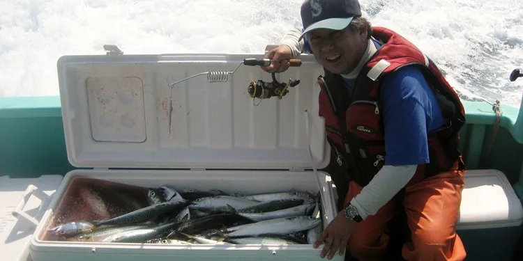 TB2ZZMBcpXXXXbQXpXXXXXXXXXX-356765920