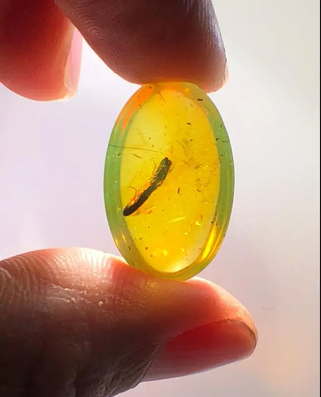 

Cretaceous rare Elateridae Leach beetle Myanmar Amber insect 100 million years lynx stone ring surface mens jewelry accessory