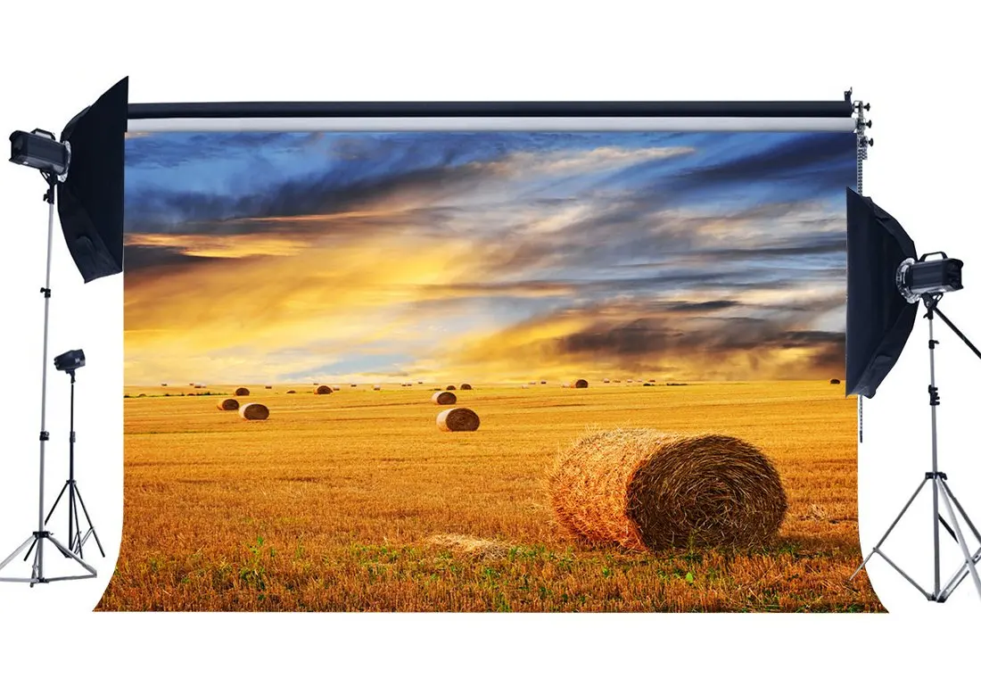 Wofawofa Vinyl 10X10FT Straw Haystack Backdrop Autumn Harvest Farmland Backdrops Wheat Field Dutch Windmill Blue Sky White Cloud Photography Background for Thanksgiving Day Photo Studio Props KX735