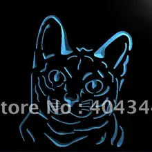 LB990-Korat Cat Милая коллекция NR световая вывеска