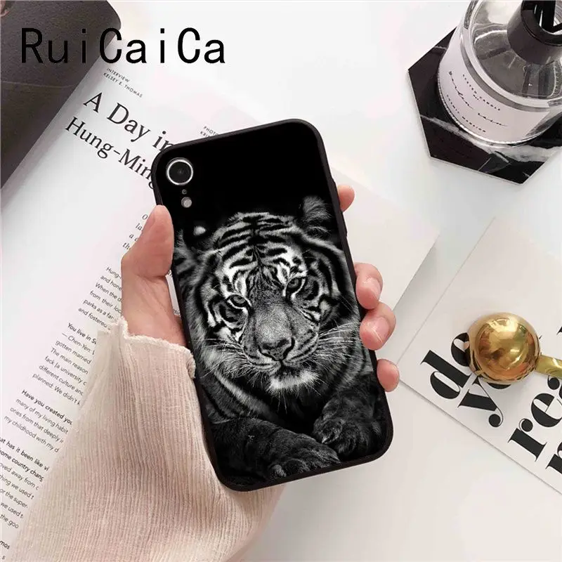 tiger fashion