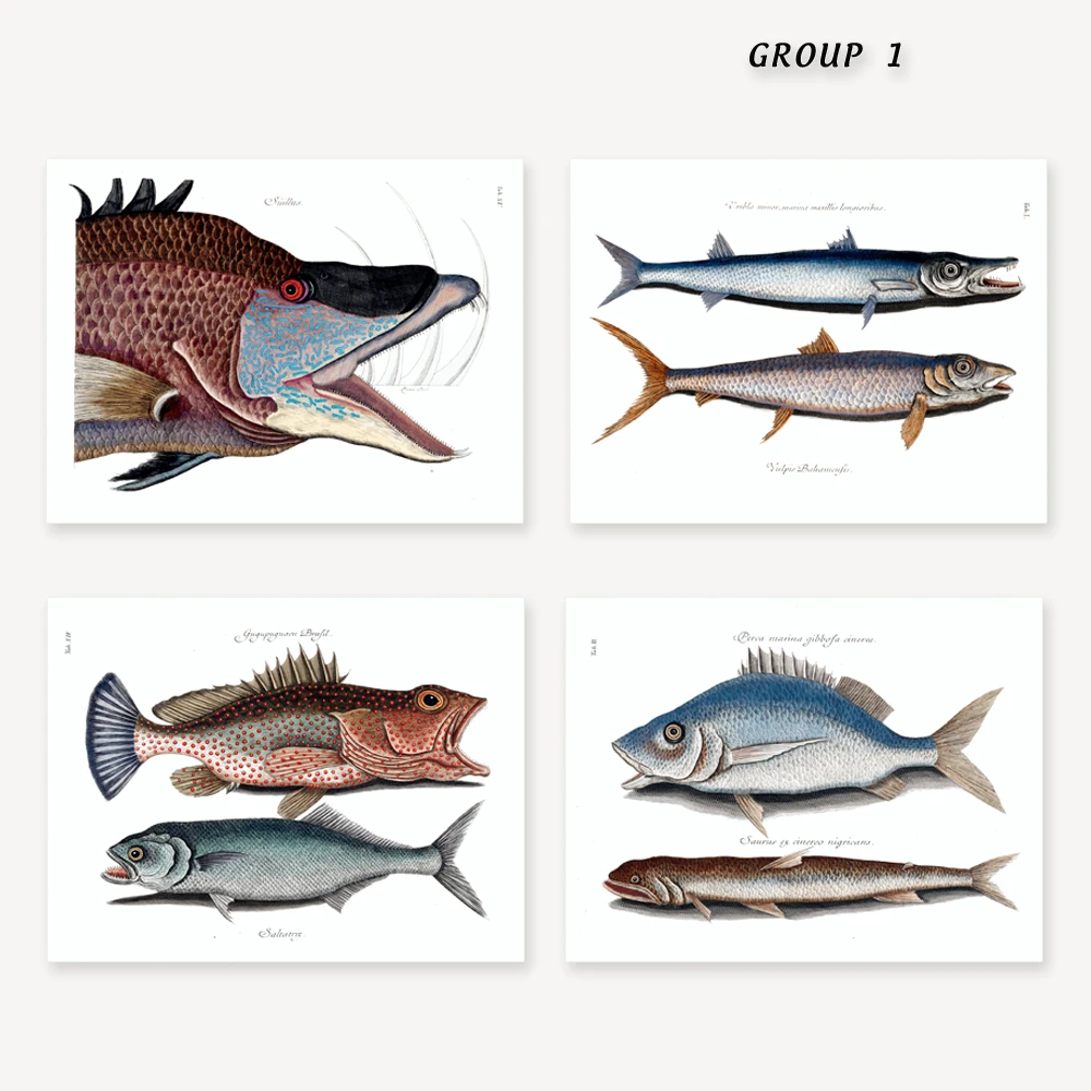 FISH 2 g1