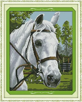 

White horse Printing pattern Cross Stitch Kits Printed Canvas Cross-stitch set Embroidery Needlework DMC Counted Home Decor
