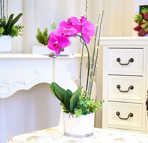 Long Stem Flower Arrangements Bouquets Without Vase By Ftd No Vase Flower Arrangement Fresh Diy Rose
