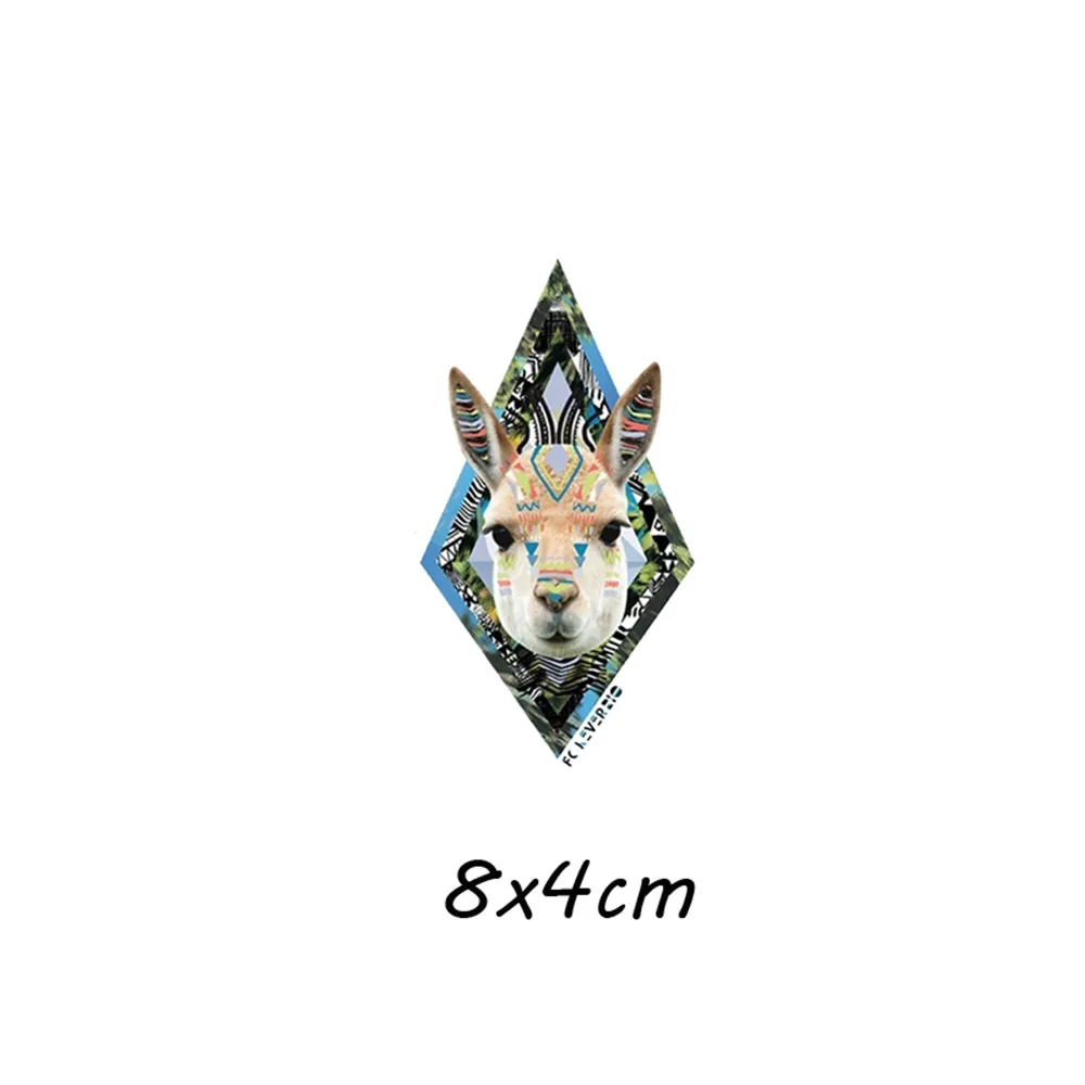 6-2