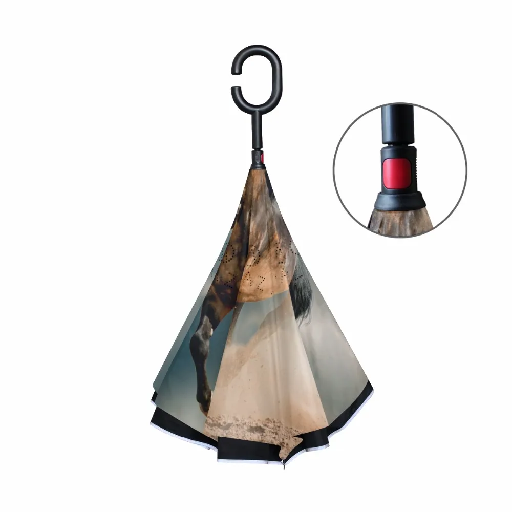 g4078907p183c217s313_2