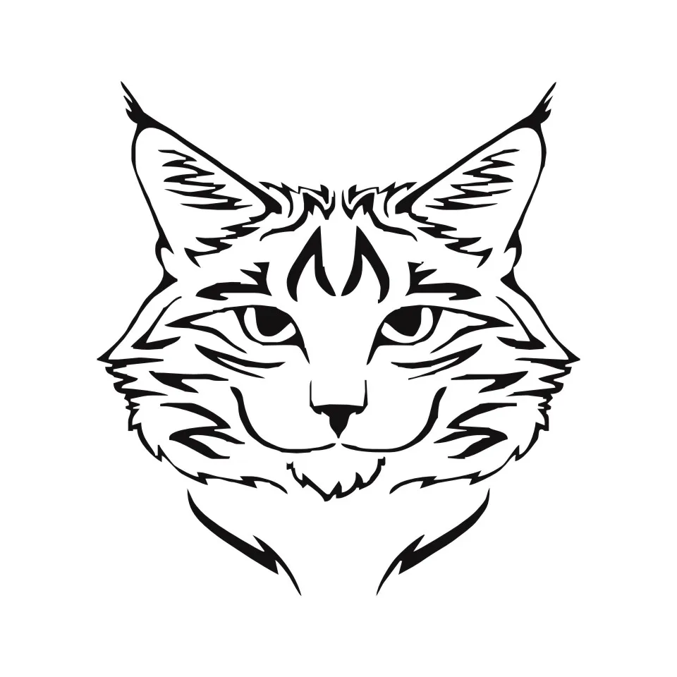 Anycuros Maine Coon Cat Breed Kitten Pet Animal Vinyl Decal Classic Cartoon Window Decoration Car Sticker 1415CM  (5)