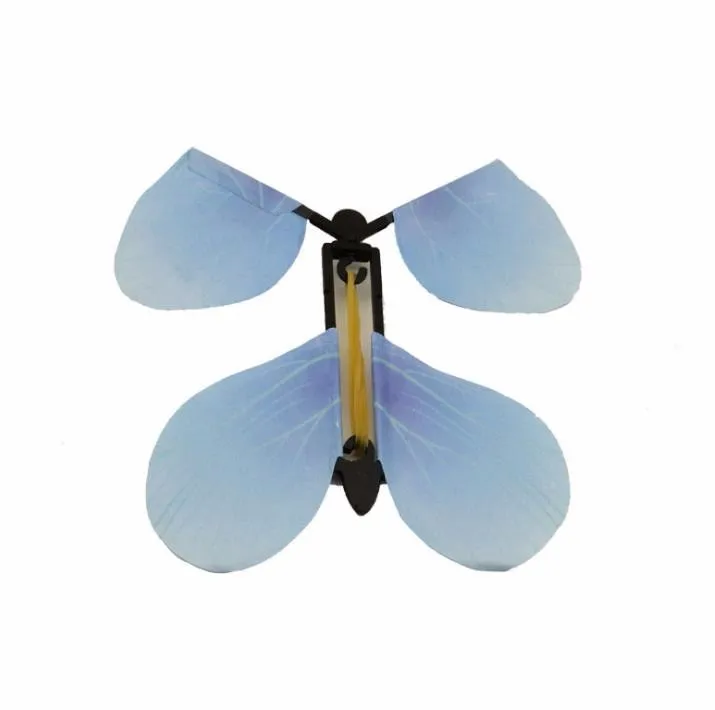 HTB1NVN6OpXXXXbaaXXXq6xXFXXXg