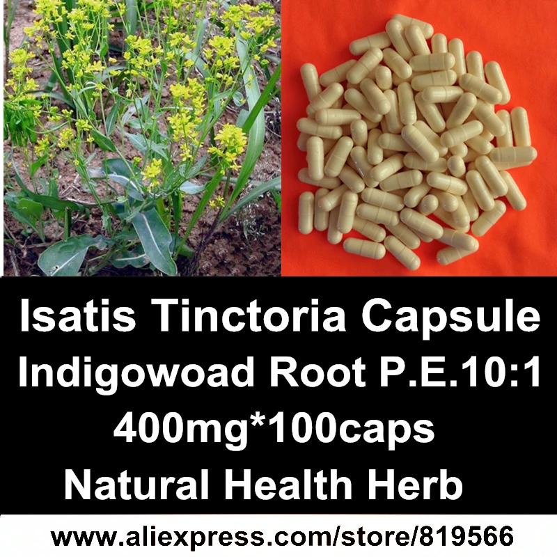 

Isatis Tinctoria Extract Powder Capsules Natural Health Care Herbal Indigowoad Root Dietary Supplements Radix Isatidis