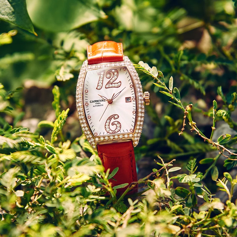 Relogio femenino orologio donna meccanico механические часы для женщин водонепроницаемые relogios senhora