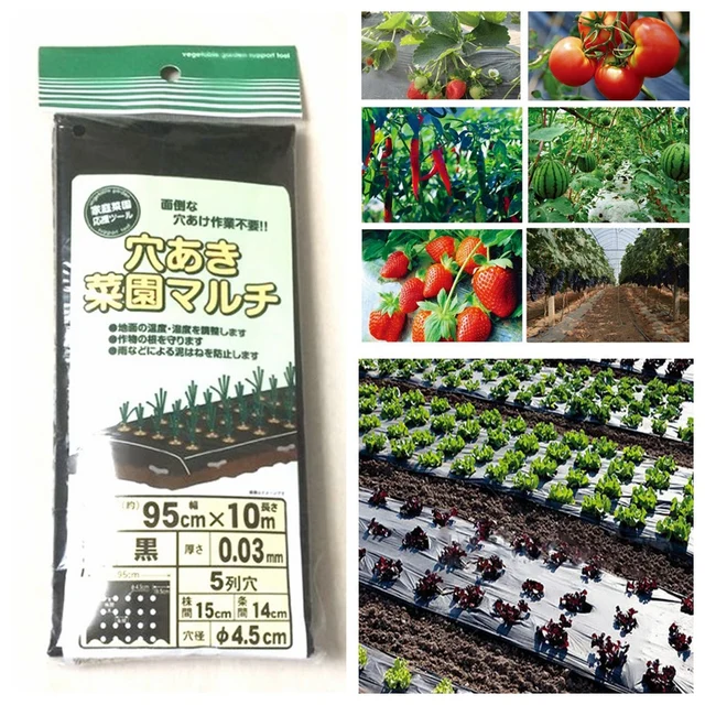 95 cm * 10 m 5 Fori 0.03mm Nero Pacciamatura Pellicola Giardinaggio Verdura Fior 95 cm * 10 m 5 Fori 0.03mm Nero Pacciamatura Pellicola Giardinaggio Verdura Fior