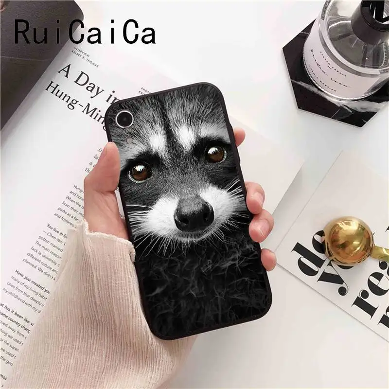 Animal monkey lion tiger leopard shark dog