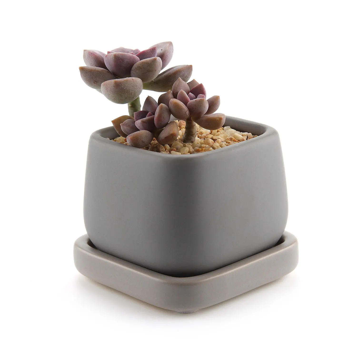 

T4U 2.75 Inch Ceramic Modern Mini Square Succulent Plant Pot / Cactus Plant Pot Container with Grey Tray - Matte Grey