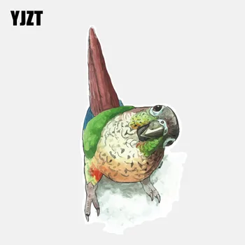 

YJZT 8*15.9CM Lovely Cartoon Parrots Decor Car Sticker PVC Personalized Colored 11A0150