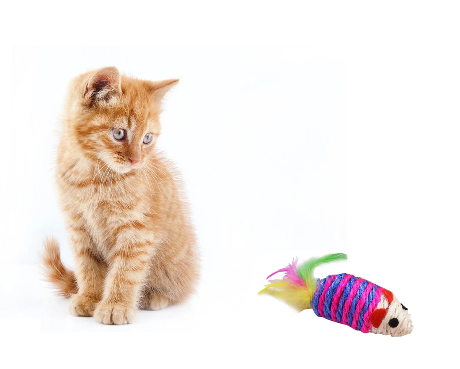 10 шт. игрушки для кошек Набор для Kitty включает в себя кошачьи игрушки плюшевые мыши Когтеточка в форме шара и прорезыватель для домашнего животного игрушки