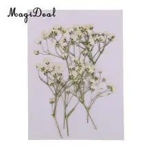 10 настоящий прессованный высушенный цветок, натуральные сухие детские цветы, сделай сам, скрапбукинг, искусство, ремесла, открытка, украшение, цветы