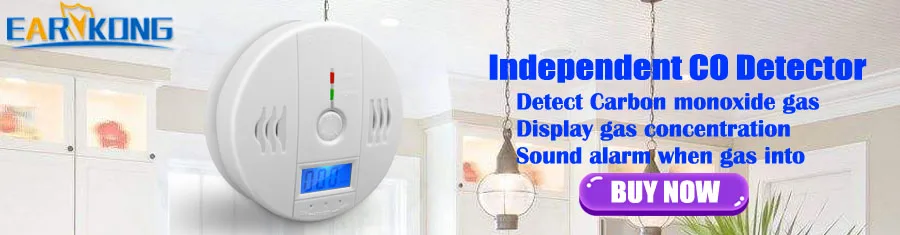 CO Detector