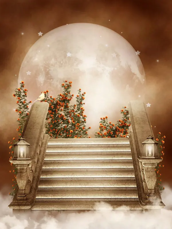 Crafts Needlework Diy Diamond painting landscape moon embroidery Cross stitch round drill Rhinestones Paste | Дом и сад