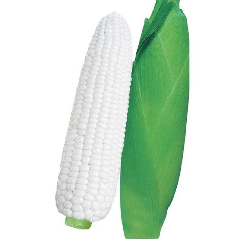

Sweet glutinous corn bonsais 5pcs organic vegetable bonsais