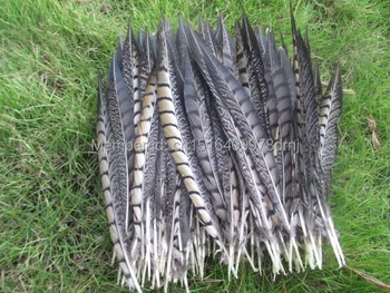 

Wholesale 100 natural color pheasant feathers 25-30 cm 10-12 inches for wedding dance celebration DIY decoration