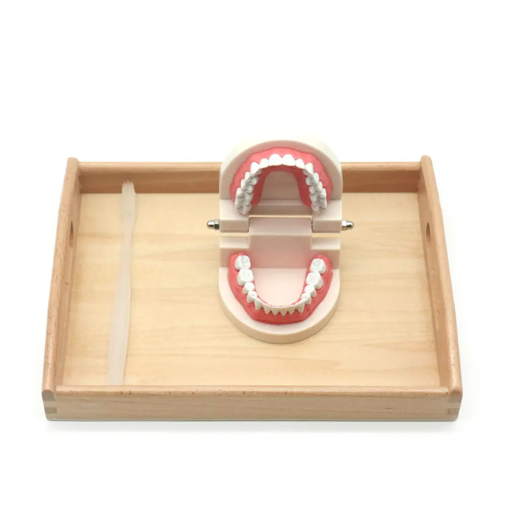 new-teeth-5