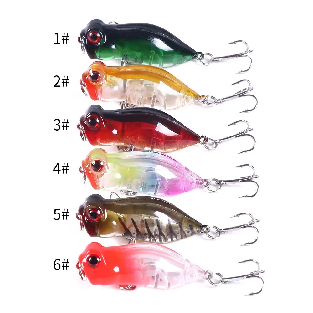 11431247172_477709903