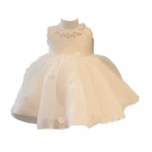 BBWOWLIN Baby Girl Dress Vestido Infantil for 0 2 Years Kids Clothes Flower Girl Dresses Vestidos