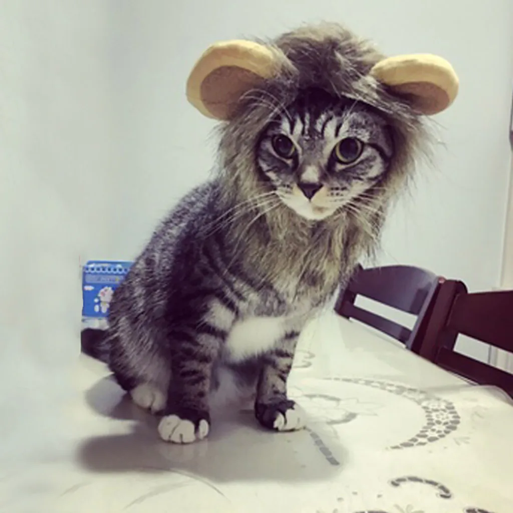 Модный костюм кошки для косплея парик льва шапка для кошки супер качество Аксессуары для кошек подарок - Цвет: S